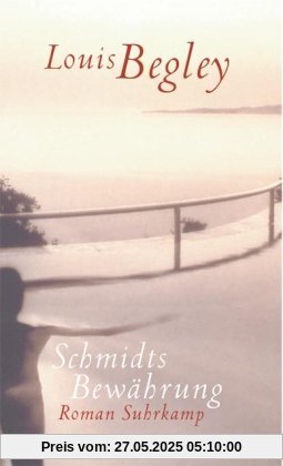Schmidts Bewährung. Roman