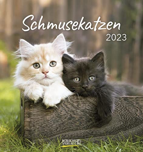 Schmusekatzen 2023: aufstellbarer Postkartenkalender von Korsch Verlag GmbH