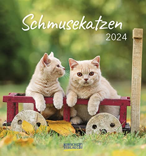 Schmusekatzen 2024: aufstellbarer Postkartenkalender von Korsch Verlag