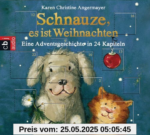 Schnauze, es ist Weihnachten: Eine Adventsgeschichte in 24 Kapiteln