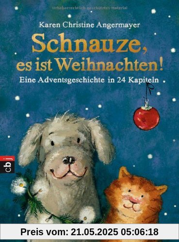 Schnauze, es ist Weihnachten: Eine Adventsgeschichte in 24 Kapiteln