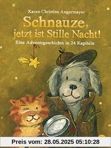 Schnauze, jetzt ist Stille Nacht!: Eine Adventsgeschichte in 24 Kapiteln (Die Schnauze-Reihe, Band 3)