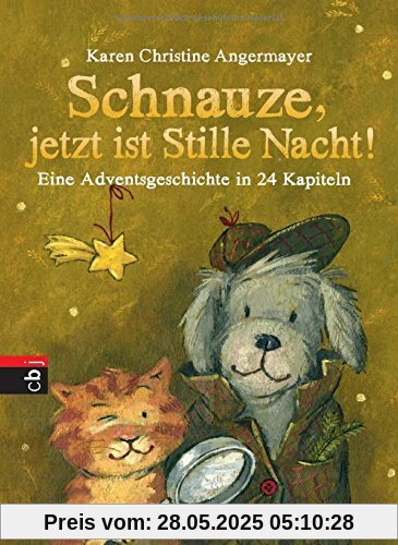 Schnauze, jetzt ist Stille Nacht!: Eine Adventsgeschichte in 24 Kapiteln (Die Schnauze-Reihe, Band 3)