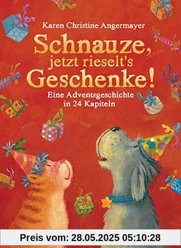 Schnauze, jetzt rieselt's Geschenke: Eine Adventsgeschichte in 24 Kapiteln (Die Schnauze-Reihe, Band 6)