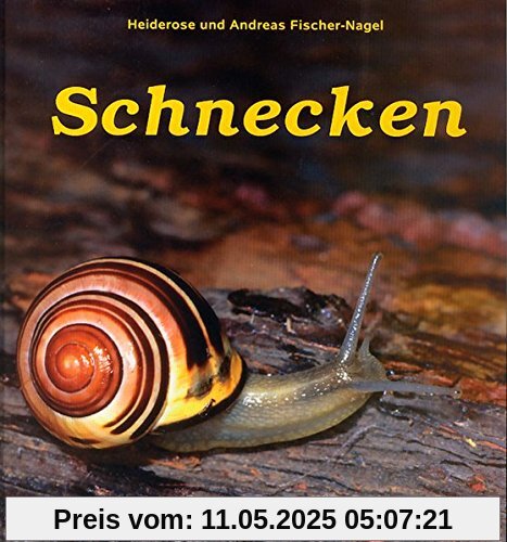Schnecken Schnecken