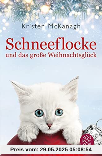 Schneeflocke und das große Weihnachtsglück Schneeflocke und das große Weihnachtsglück