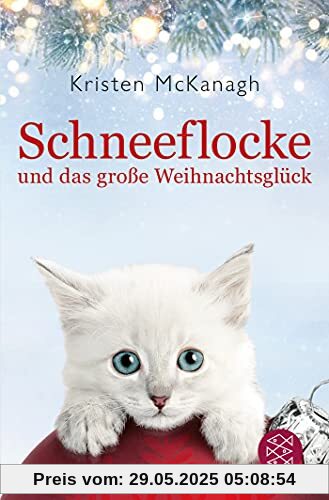 Schneeflocke und das große Weihnachtsglück