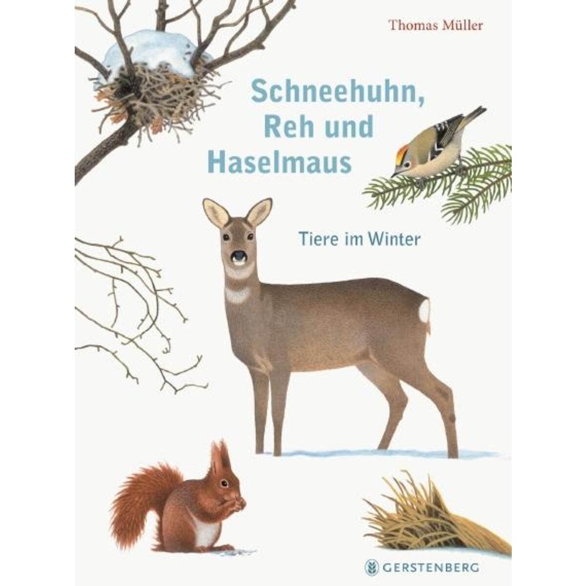 Schneehuhn, Reh und Haselmaus von Gerstenberg Verlag