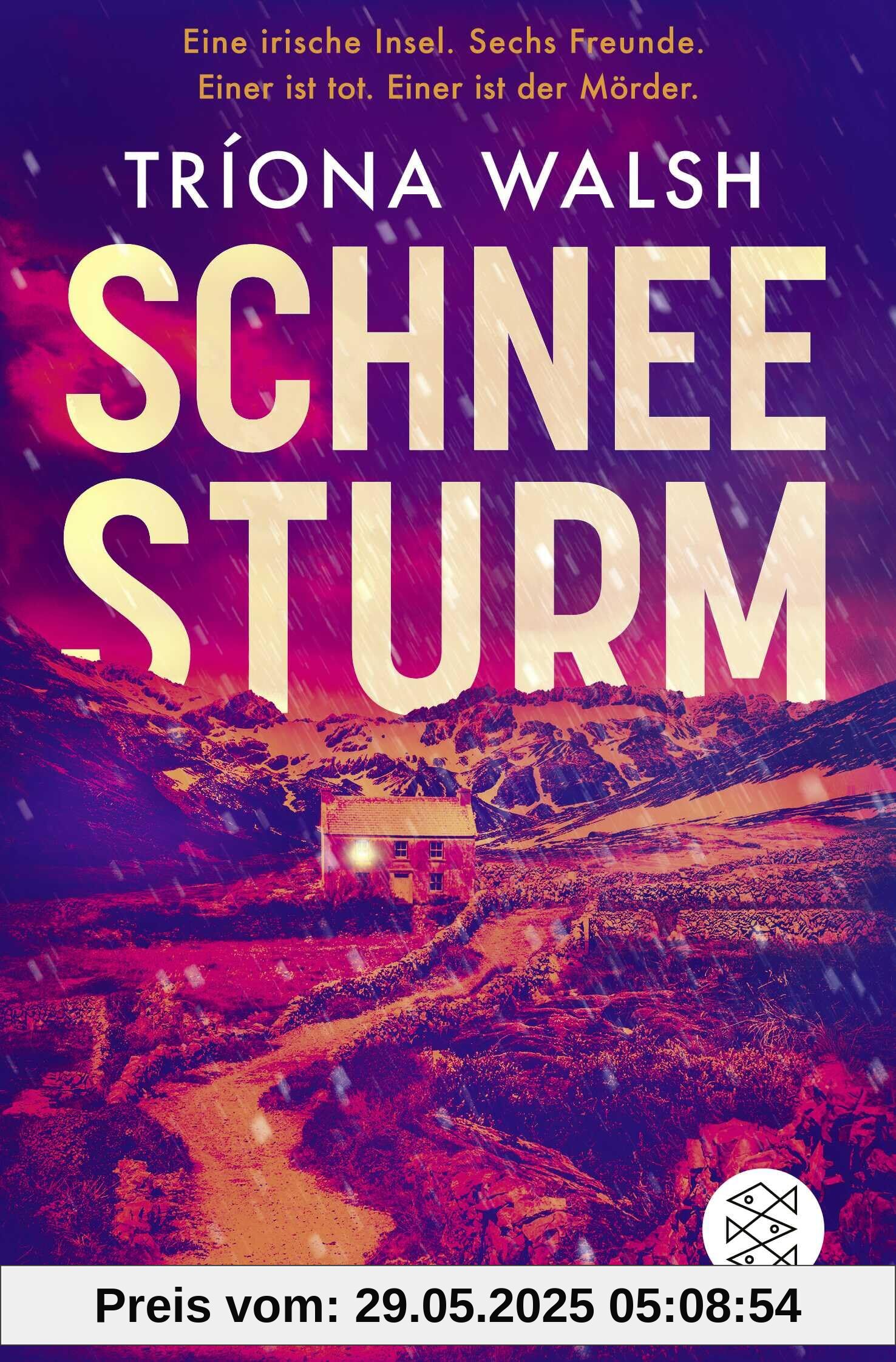 Schneesturm: Thriller | Kein Entkommen von der eisigen Insel