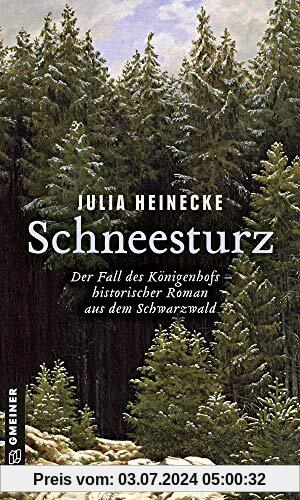 Schneesturz - Der Fall des Königenhofs: Historischer Roman aus dem Schwarzwald (Historische Romane im GMEINER-Verlag)