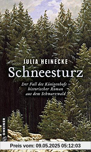 Schneesturz - Der Fall des Königenhofs: Historischer Roman aus dem Schwarzwald (Historische Romane im GMEINER-Verlag)