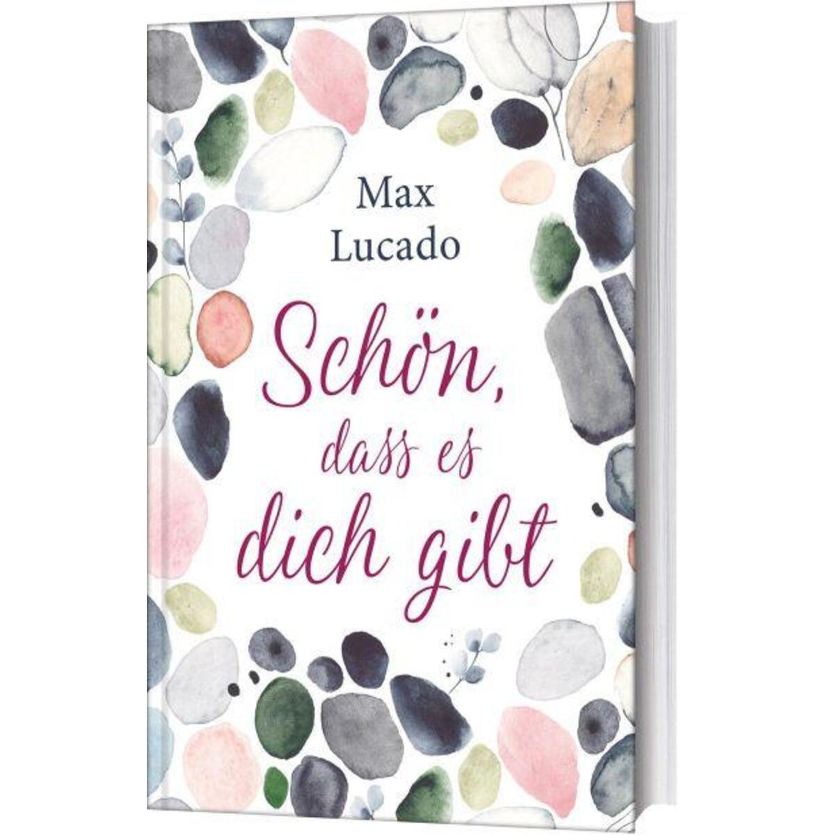 Schön, dass es dich gibt von Gerth Medien