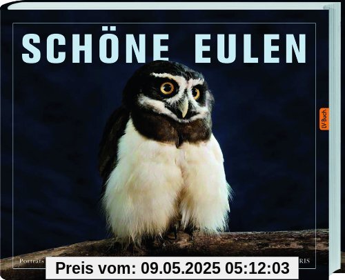 Schöne Eulen