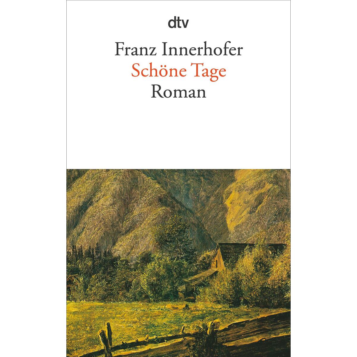 Schöne Tage von dtv Verlagsgesellschaft