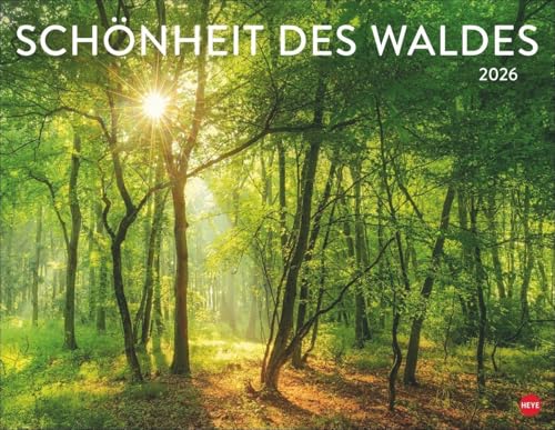 Schönheit des Waldes Posterkalender 2026: Eine mystische Reise durch die Welt der Bäume: Landschafts-Kalender im Großformat 44 x 34 cm, der Ruhe und Gelassenheit ausstrahlt von Heye