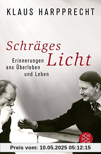 Schräges Licht: Erinnerungen ans Überleben und Leben