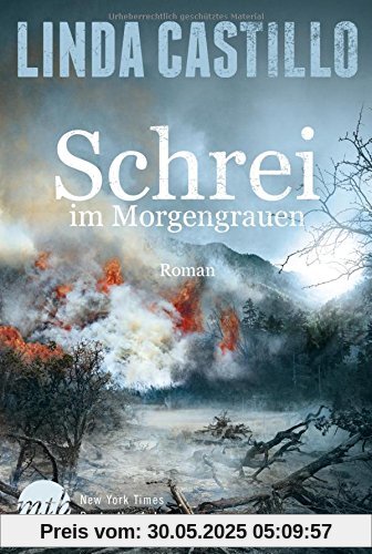 Schrei im Morgengrauen