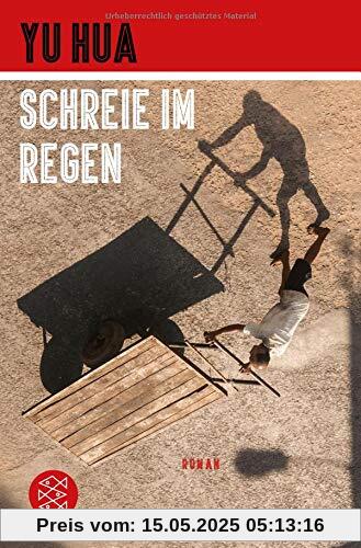 Schreie im Regen: Roman