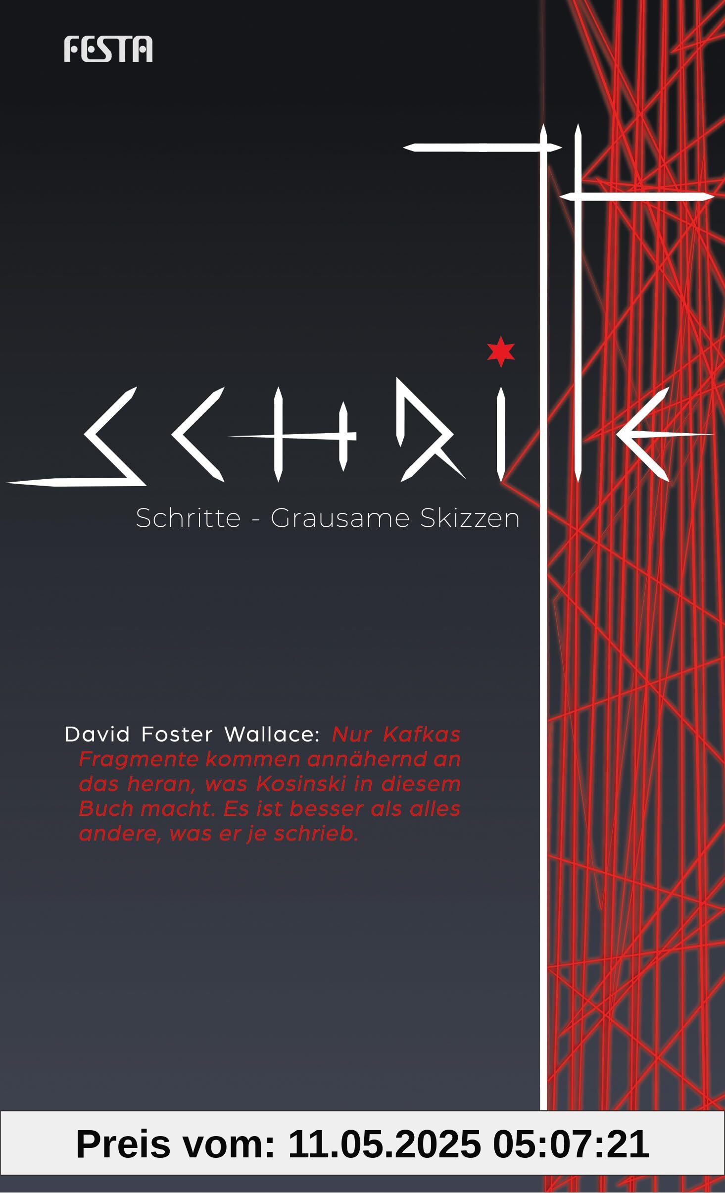 Schritte – Grausame Skizzen: Roman Schritte – Grausame Skizzen: Roman