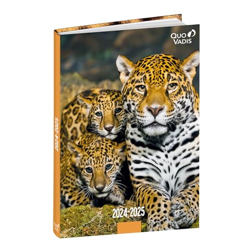 Schülerkalender FORUM DE Tiere Jaguar 2024/2025: Schülerkalender von Quo Vadis