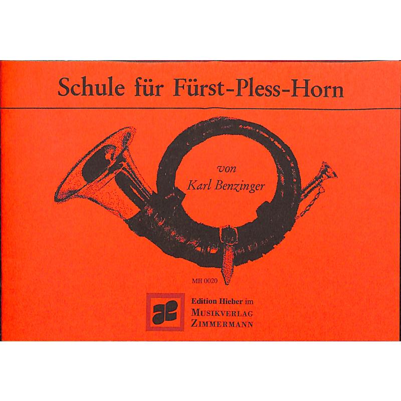 Schule für Fürst Pless Horn 1
