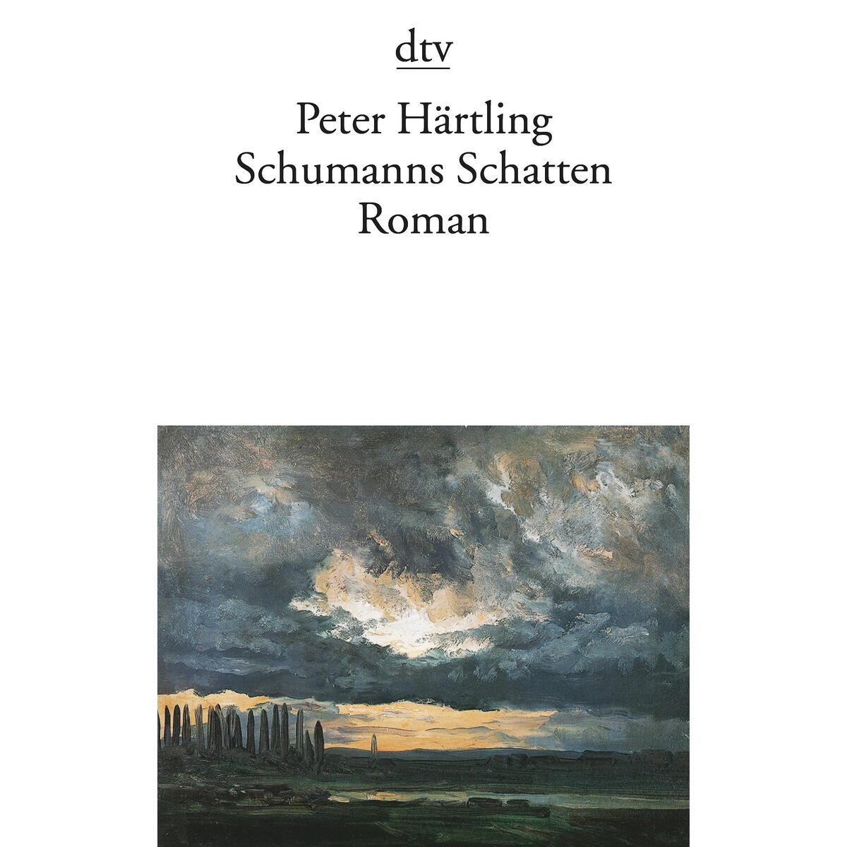 Schumanns Schatten von dtv Verlagsgesellschaft
