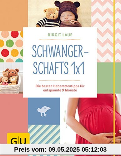 Schwangerschafts 1x1: Die besten Hebammentipps für entspannte 9 Monate (GU Einzeltitel Partnerschaft & Familie)