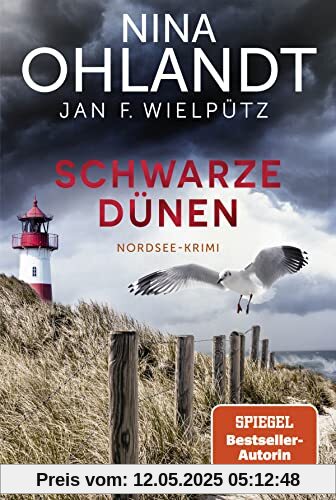 Schwarze Dünen: Nordsee-Krimi (Hauptkommissar John Benthien, Band 9)