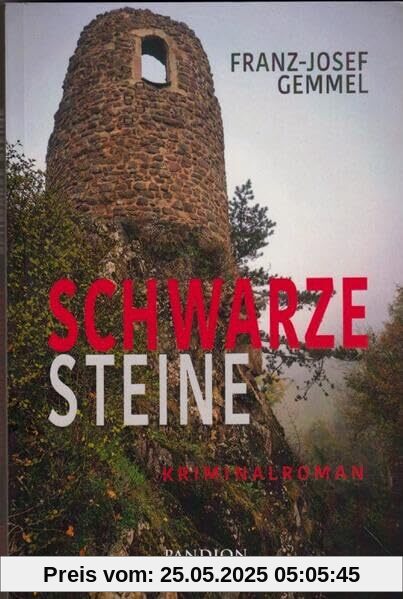 Schwarze Steine: Kriminalroman