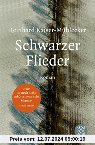 Schwarzer Flieder: Roman