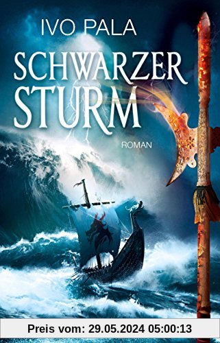Schwarzer Sturm: Roman