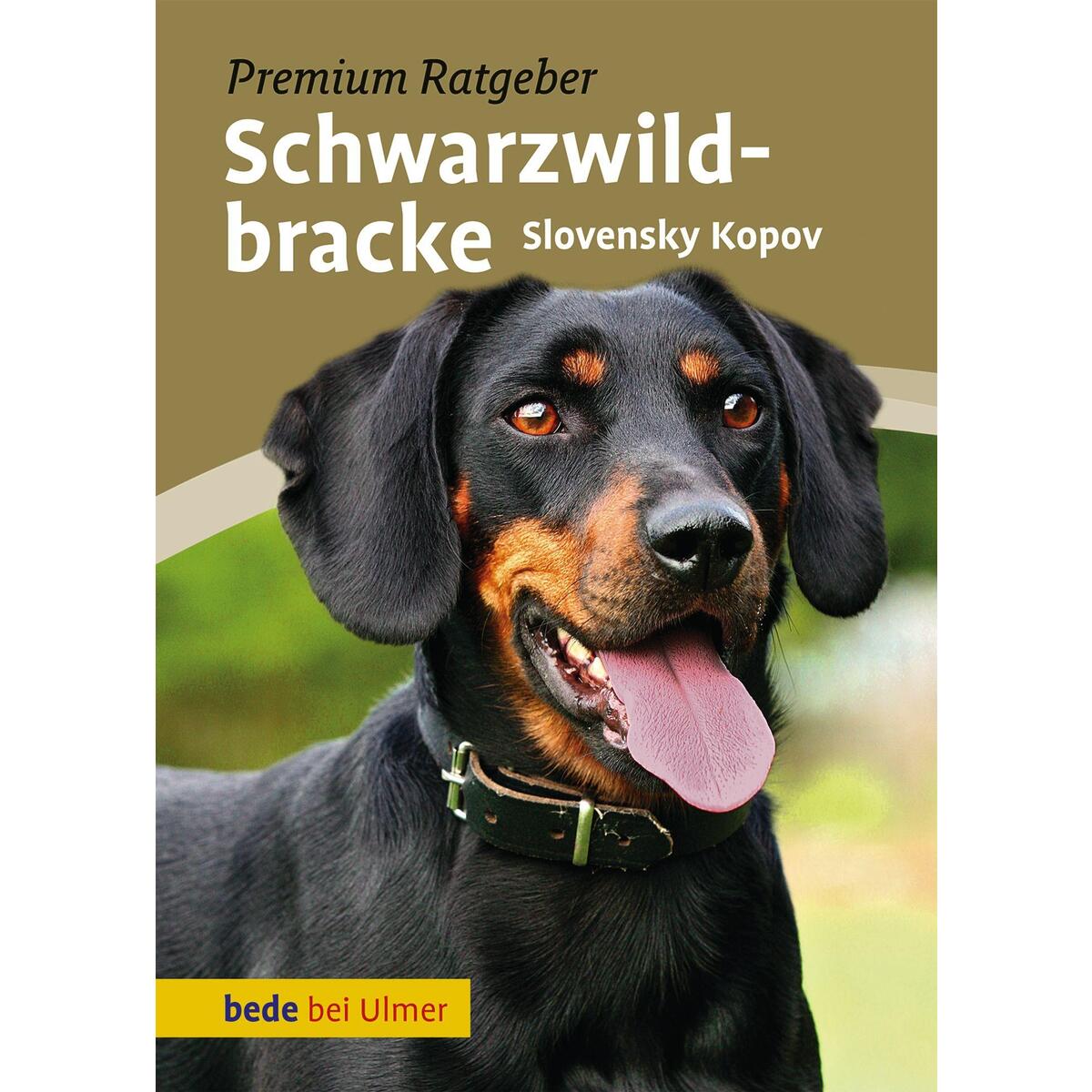 Schwarzwildbracke von Ulmer Eugen Verlag
