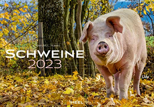 Schweine 2023: Der sympathische Schweine-Kalender mit den charmanten Namen