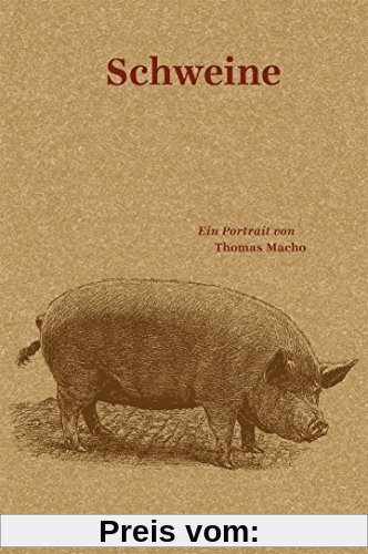 Schweine: Ein Portrait