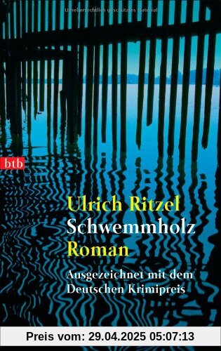 Schwemmholz: Roman