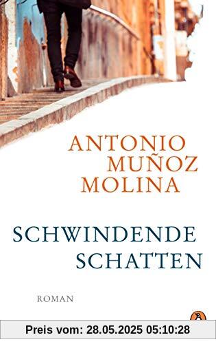 Schwindende Schatten: Roman