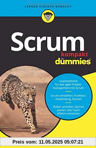 Scrum kompakt für Dummies Scrum kompakt für Dummies