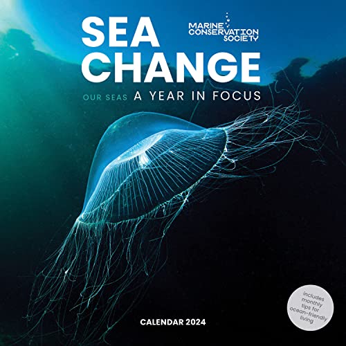Sea Change, Marine Conservation Society 2024 Calendar