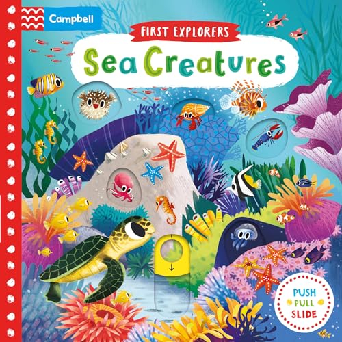 Sea Creatures (Campbell First Explorers, 2)