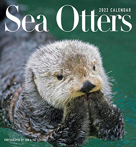 Sea Otters- Photographs by Tom and Pat Leeson 2022 Wall Calendar von Pomegranate