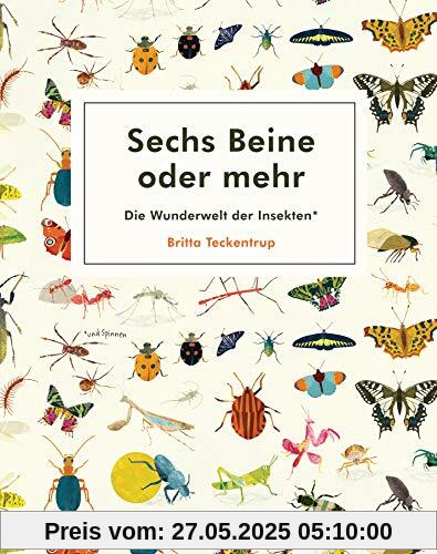 Sechs Beine oder mehr – Die Wunderwelt der Insekten und Spinnen