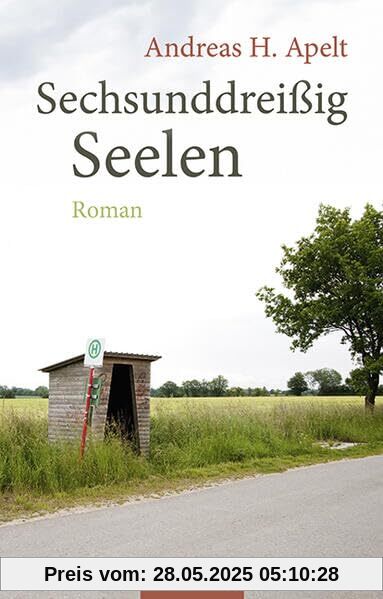 Sechsunddreißig Seelen: Roman
