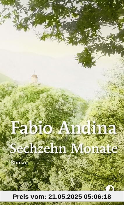 Sechzehn Monate: Roman