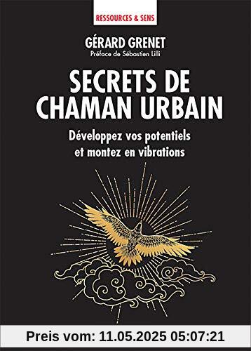 Secrets de chaman urbain (Développement personnel)