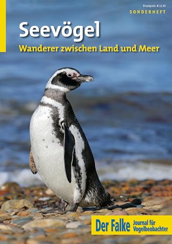 Seevögel: Wanderer zwischen Land und Meer von AULA-Verlag