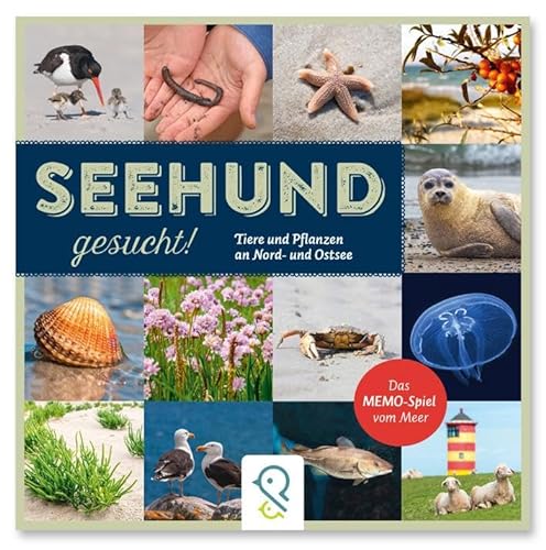 Seehund gesucht!: Das Memo-Spiel vom Meer von klein & groß Verlag