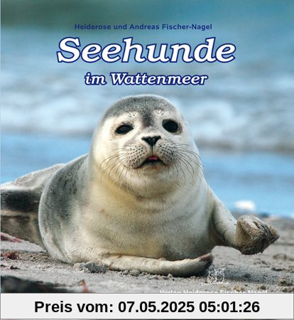 Seehunde im Wattenmeer