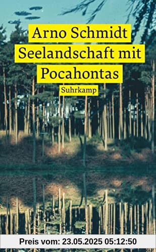 Seelandschaft mit Pocahontas (suhrkamp taschenbuch)