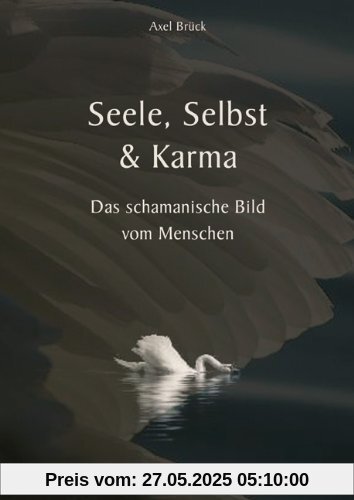 Seele, Selbst & Karma: Das schamanische Bild vom Menschen