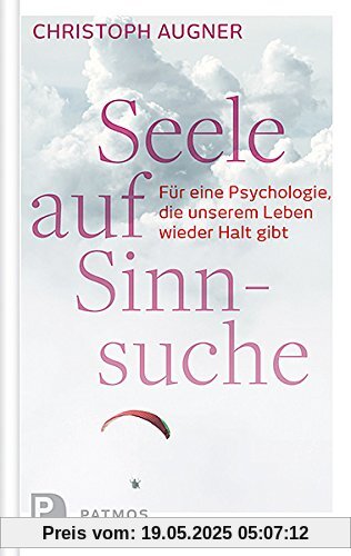Seele auf Sinnsuche - Für eine Psychologie, die unserem Leben wieder Halt gibt